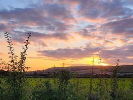 Sunset over adjacent field