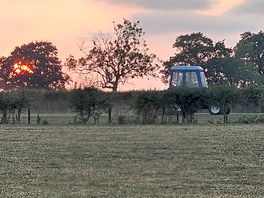 Sunset over the field