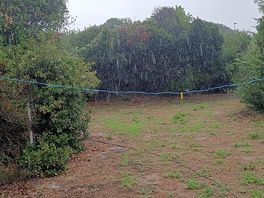 Our pitch