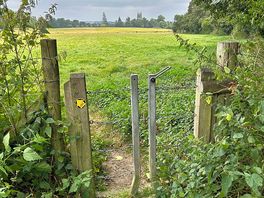 View into long melford from the tedding