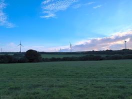 From the dog field