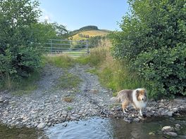 Having a paddle
