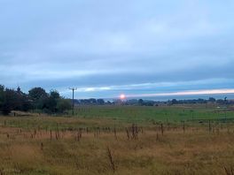 Sunrise from the on site forest