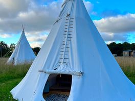 Dog friendly tipi