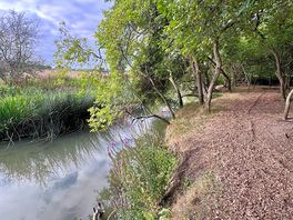 Wild swimming