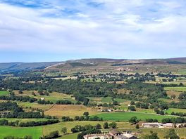 Glorious day 😎