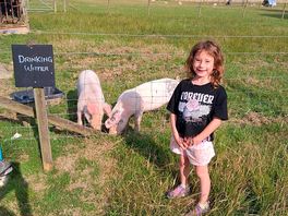 Piggy time
