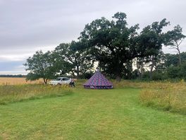 Amongst the meadow