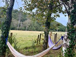 Relaxing hammocks