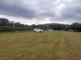 The field