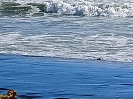 Beautiful beach
