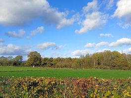 The view from our pitch