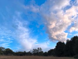 Evening view
