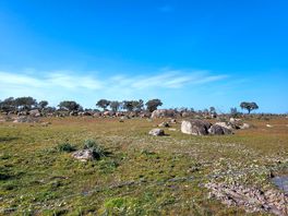 Walks from the campsite