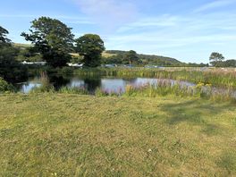 Fishing pond