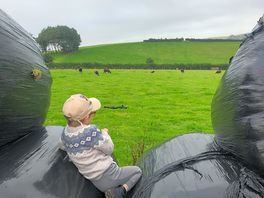 Saying hello to the sheep.