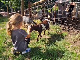 Local animals🥰