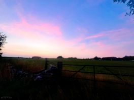Sunset walk