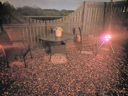 Night time garden