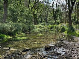Lathkill dale