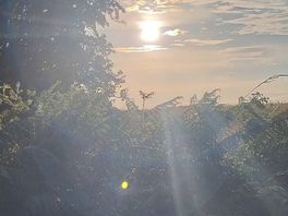 Sunset over the fields