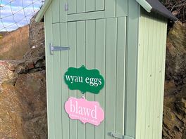 Lovely eggs and cakes.