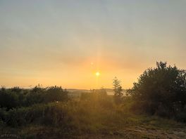 Early morning walk