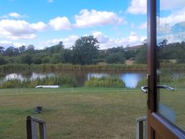 Room with a view