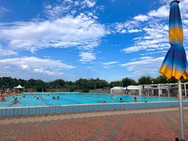 Olympic sized swimming pool