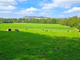 Dog exercise area