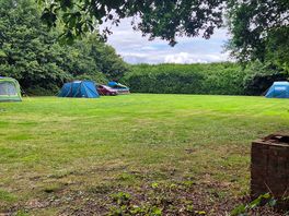 Tent field