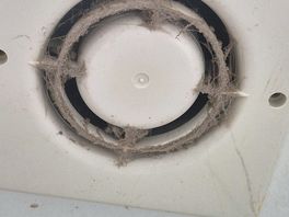Air vents in both showers are disgusting