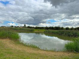 Lovely view of lake.