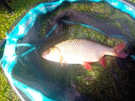 Good fishing