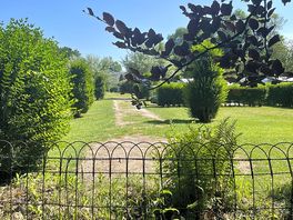 View from the woodland walk