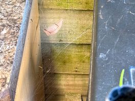 Well established cobwebs