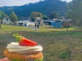 Lovely cakes