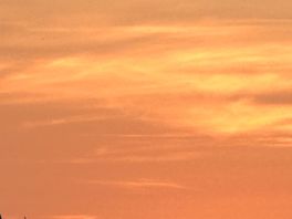 Dawn