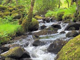 Follow the pony track and you come to some lovely waterfalls