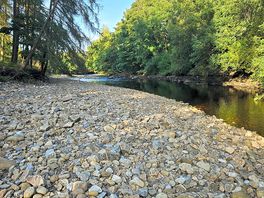 River swale, next to the camp.