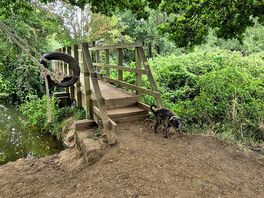 Little bridges