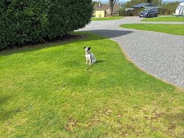Gravel and grass