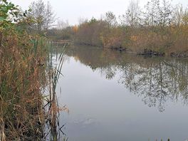Beautiful lake