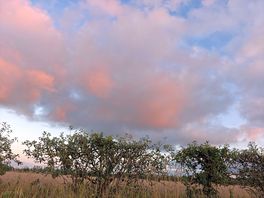 Warm evening in august