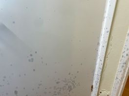 Painted over mould