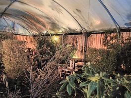 Covered beer garden