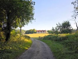 View of the farmhouse from the woodland.