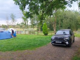 Grass pitch