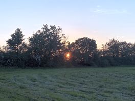 Sunset on field