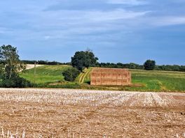 Fields